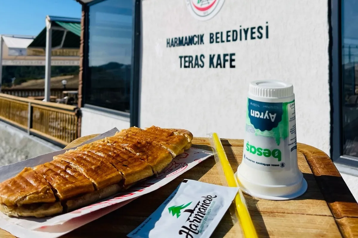 Bursa Harmancık