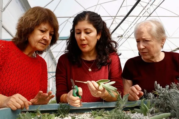 Antalya’da 'Tıbbi ve Aromatik Bitki Yetiştiriciliği' kursu ilgi görüyor