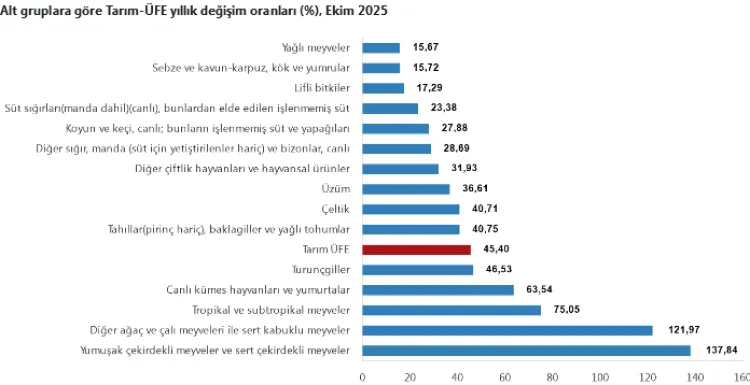 Tarım-ÜFE yıllık yüzde 45,40 arttı! Tek yıllık bitkisel ürünlerde sert fiyat artışı