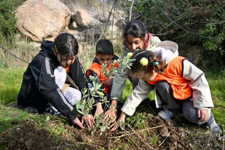 İzmir Bornova'da 200 zeytin fidanı toprakla buluştu