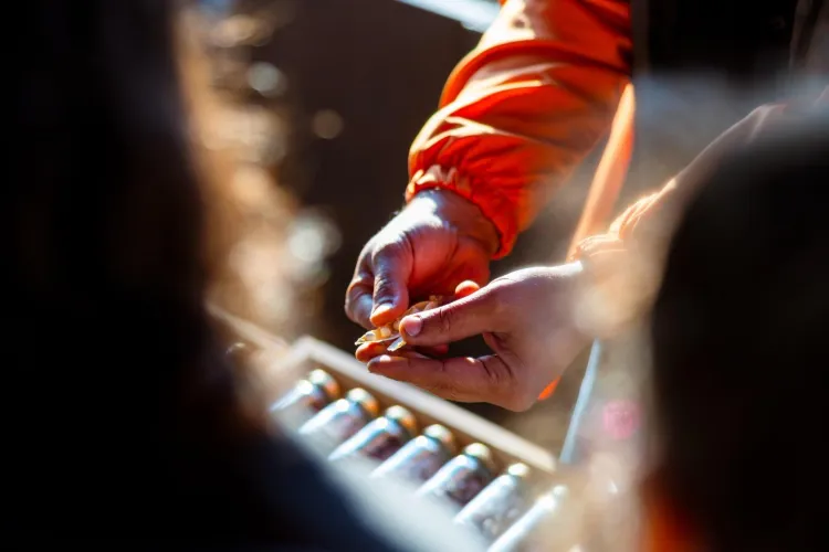 İzmir'de tohumdan toprağa, topraktan sofraya