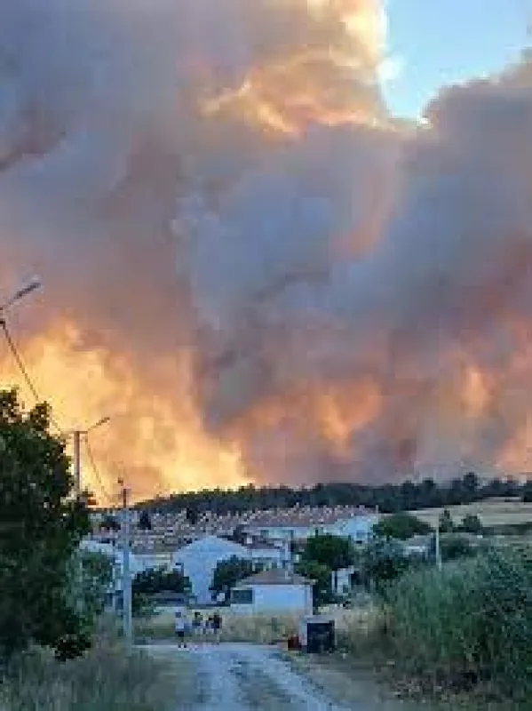 Milletvekili Akalın: Enez yangınında meşe dikimi tercih edilmeli