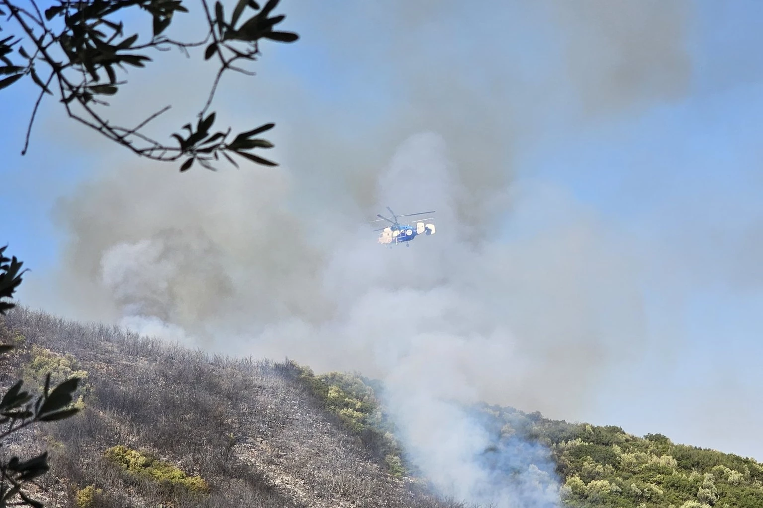 Bursa Orhangazi'de orman yangını!