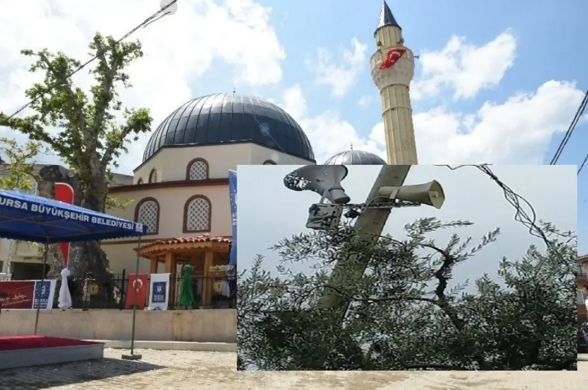 Bursa İznik