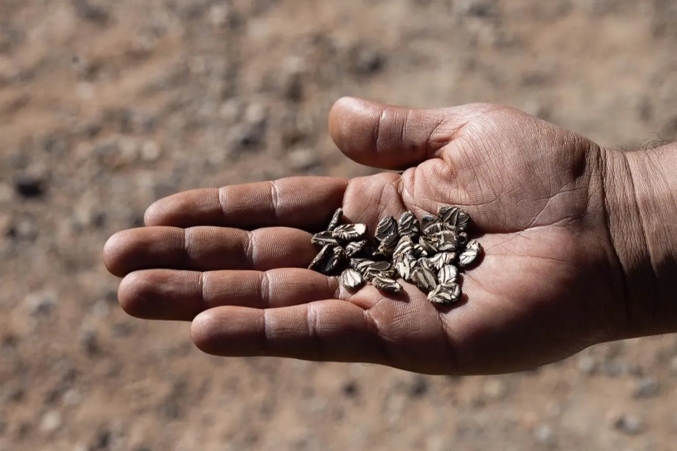 İzmir'de eller toprakla buluştu