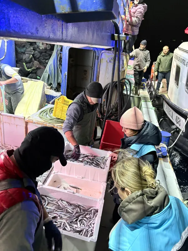 Su Ürünleri'nden sıkı denetim! 4 ton balığa el konuldu