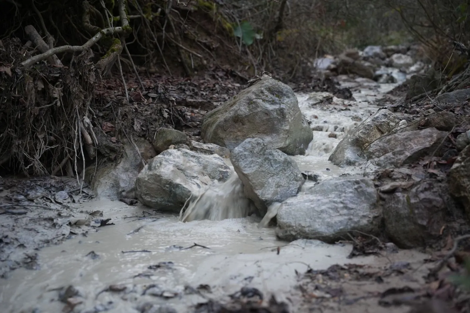 Yenişehir Kirazlıyayla'da binlerce ton kimyasal doğaya karıştı!