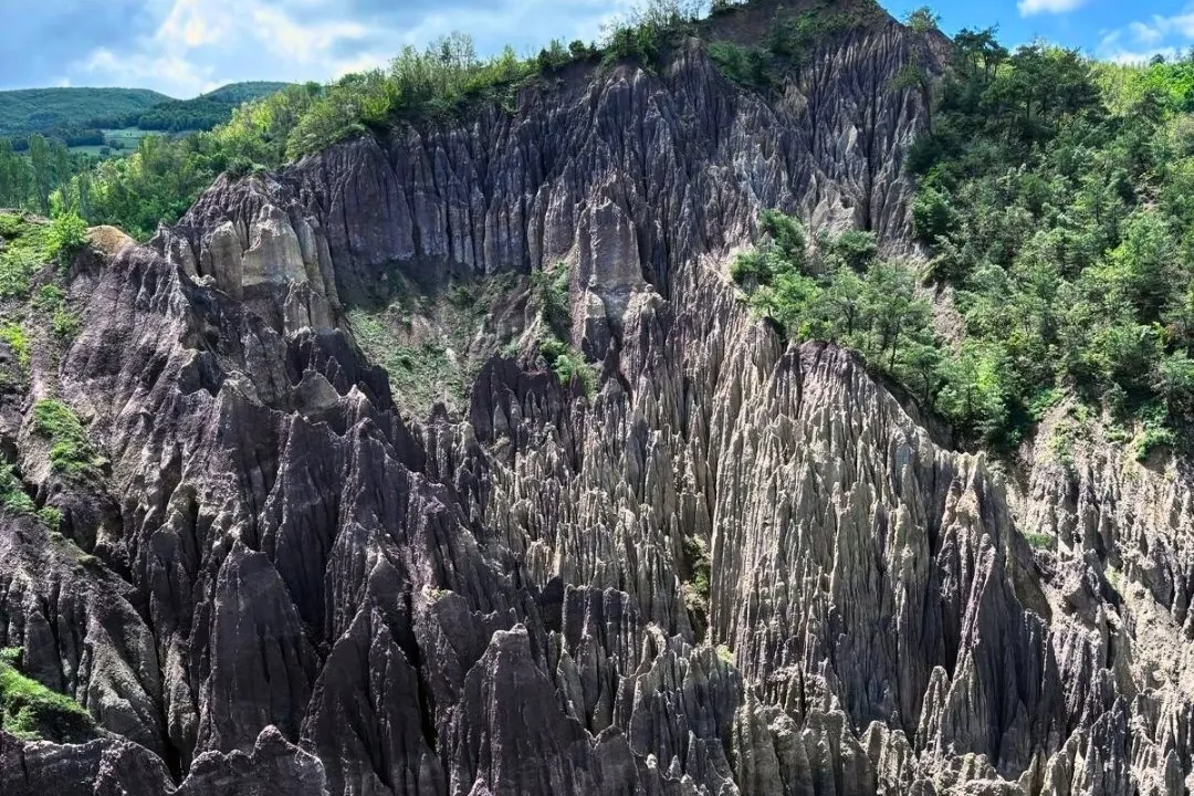 Korunan alan sayısı 692'ye yükseldi