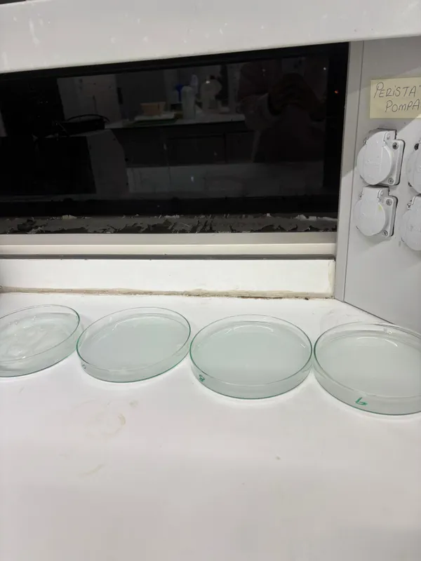 BTÜ’lü öğrenciler atık nişastadan ambalaj film üretti