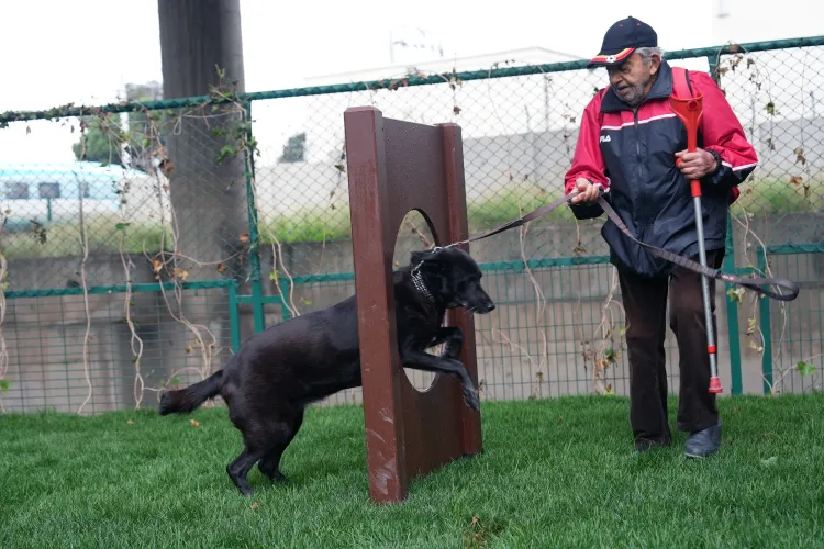 İstanbul Maltepe’de “Pati Park” açıldı