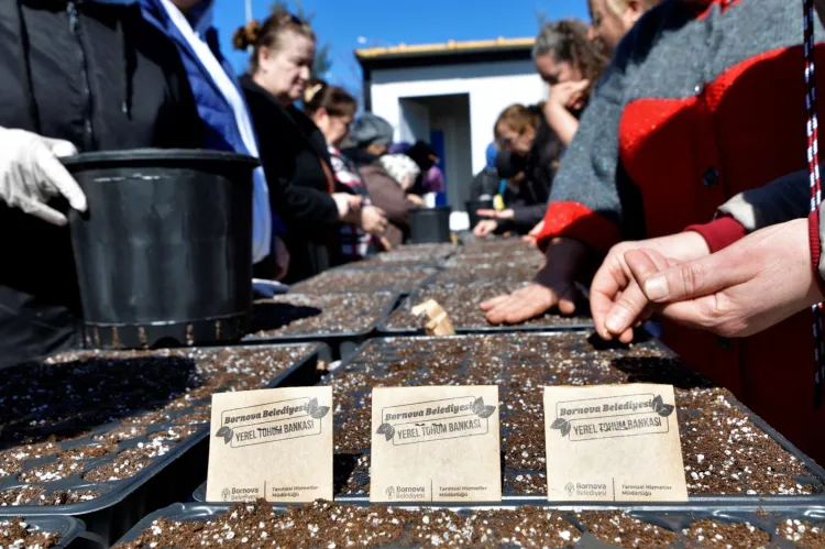 Toprak kadınlarla canlanıyor