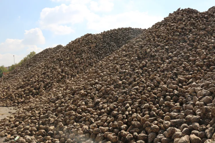 Konya Şeker’de kampanya sezonu tamamlandı