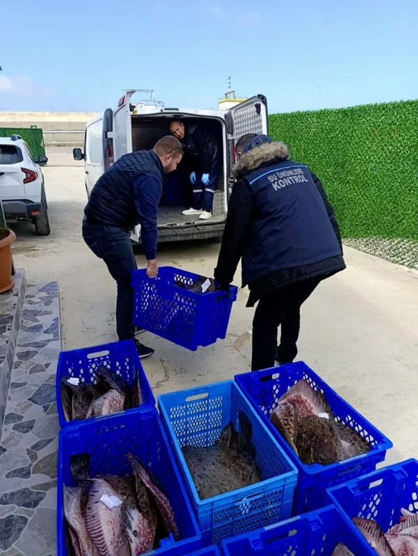 Yasadışı kalkan avcılığına müdahale! 169 balık Darülaceze'ye teslim edildi