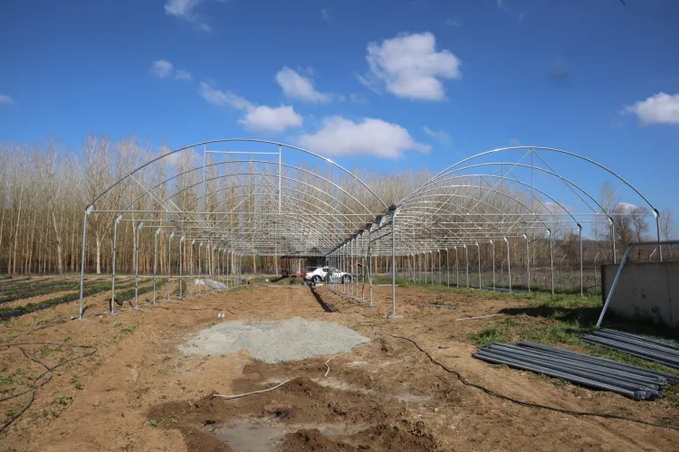 Kocaeli İzmit Belediyesi sebze serası kuruyor