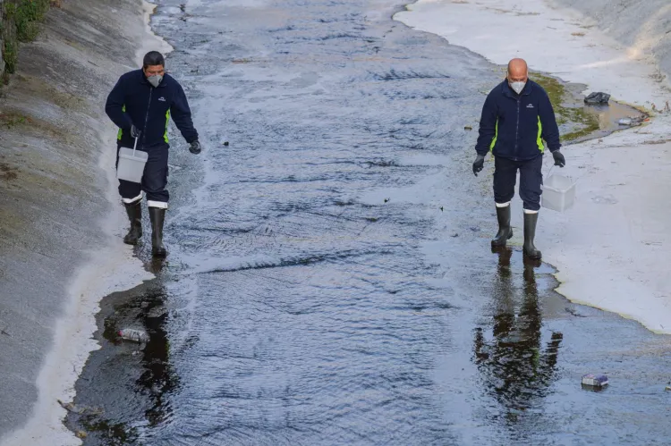 İzmir'de vektörle mücadele sürüyor
